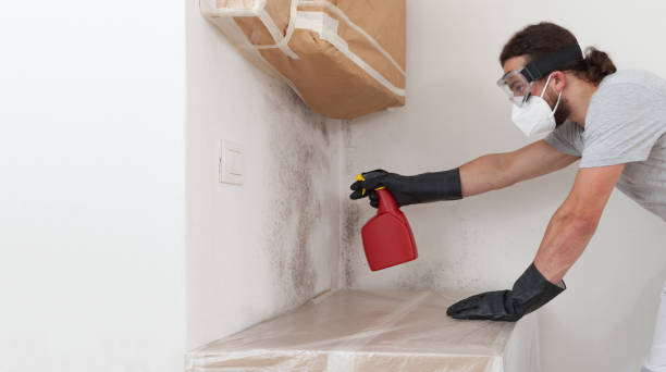 Professional Mold Inspection And Testing technician working in Cedar, MI
